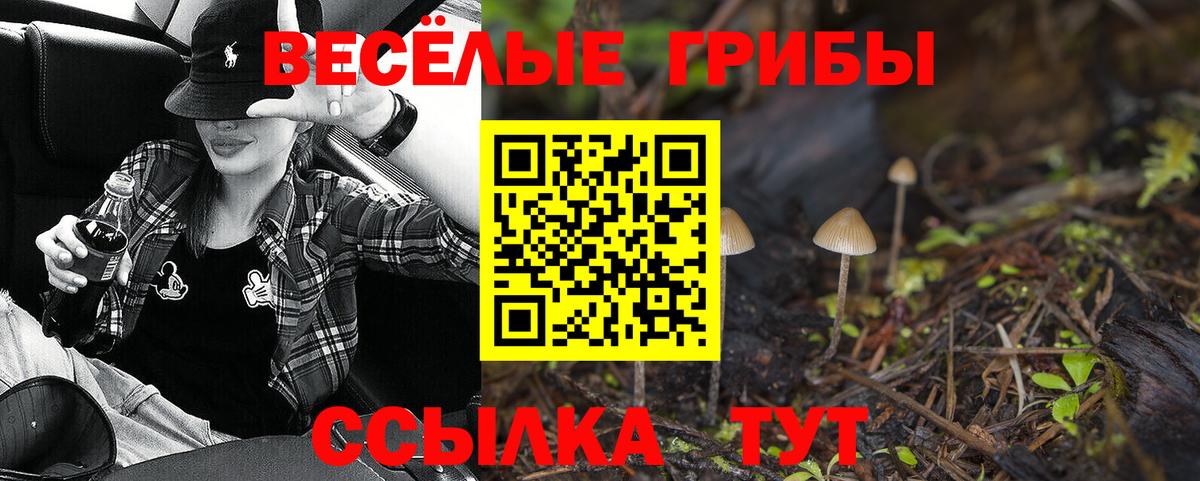 Галлюциногенные грибы GOLDEN TEACHER Серпухов