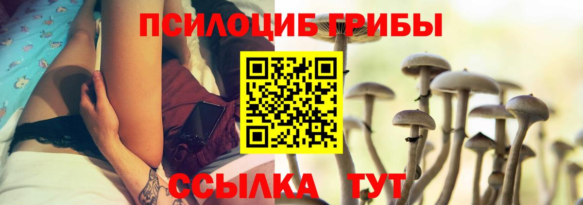 Галлюциногенные грибы Cubensis  Вход с VPN  Серпухов  Галлюциногенные грибы Cubensis 